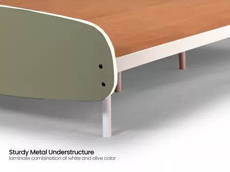 Olivix Queen Size Double Bed